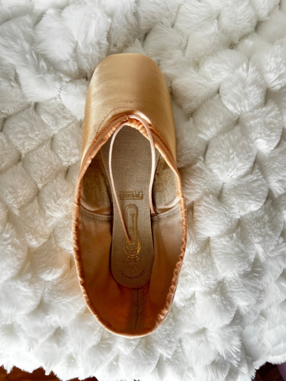 Pair of freed pointe shoes (clef)